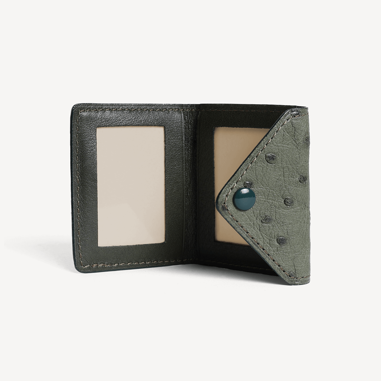 Ostrich 2 Photo Frame with Snap Button Closure - Green - Swaine Group Ltd