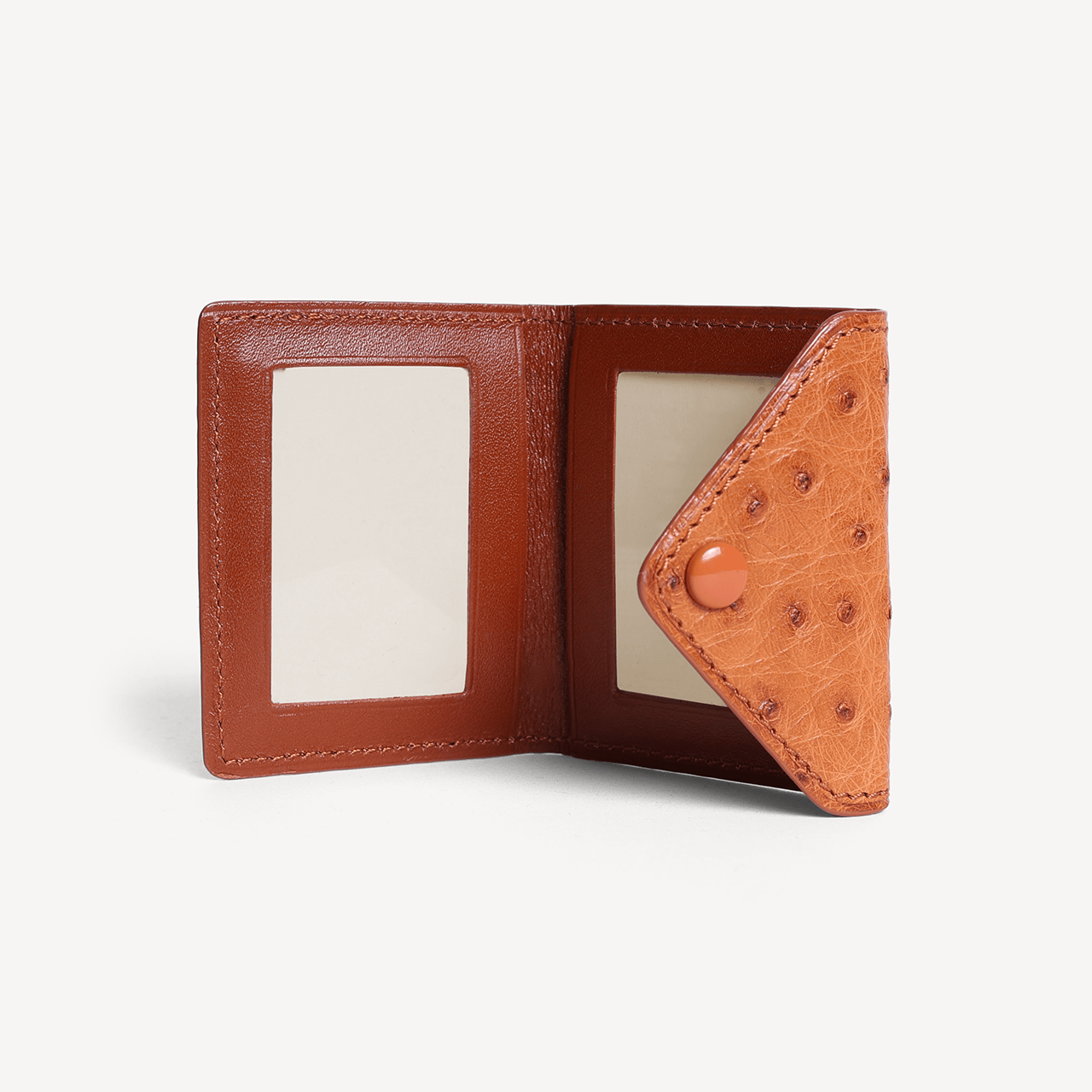 Ostrich 2 Photo Frame with Snap Button Closure - Tan - Swaine Group Ltd