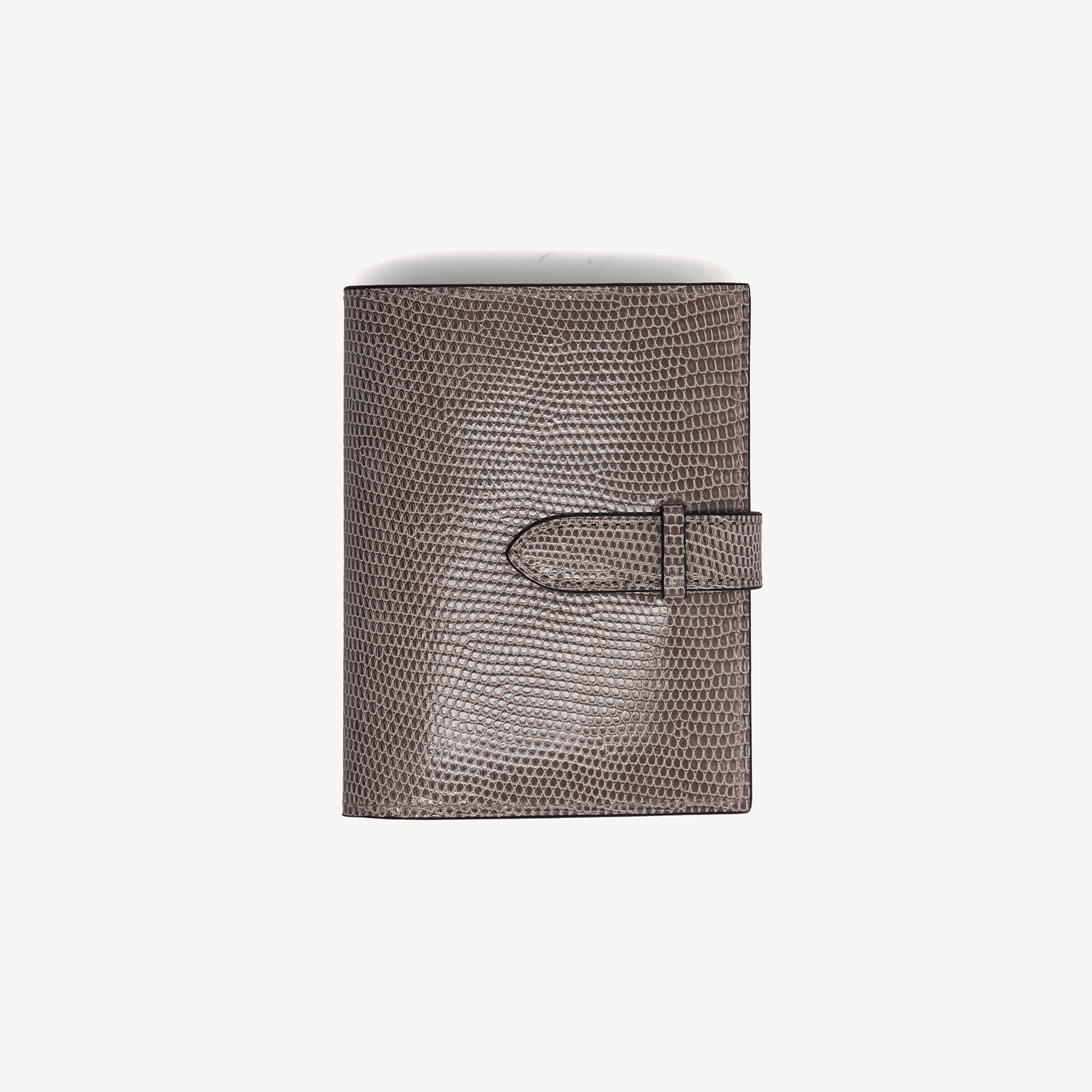 Lizard Wallet - Taupe (Tab Closure) - Swaine Group Ltd