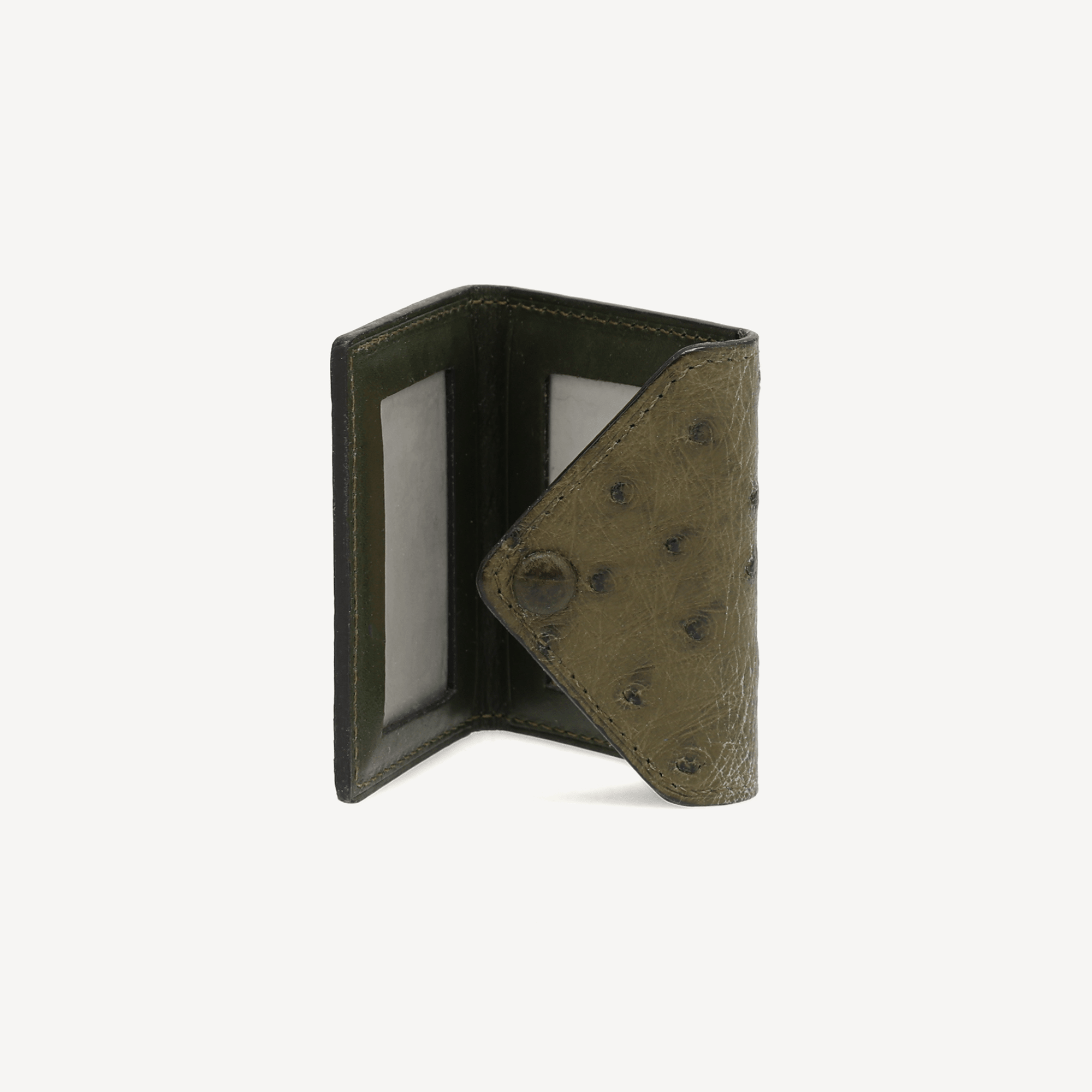 Ostrich 2 Photo Frame - Jaguar Green (Snap Button Closure) - Swaine Group Ltd