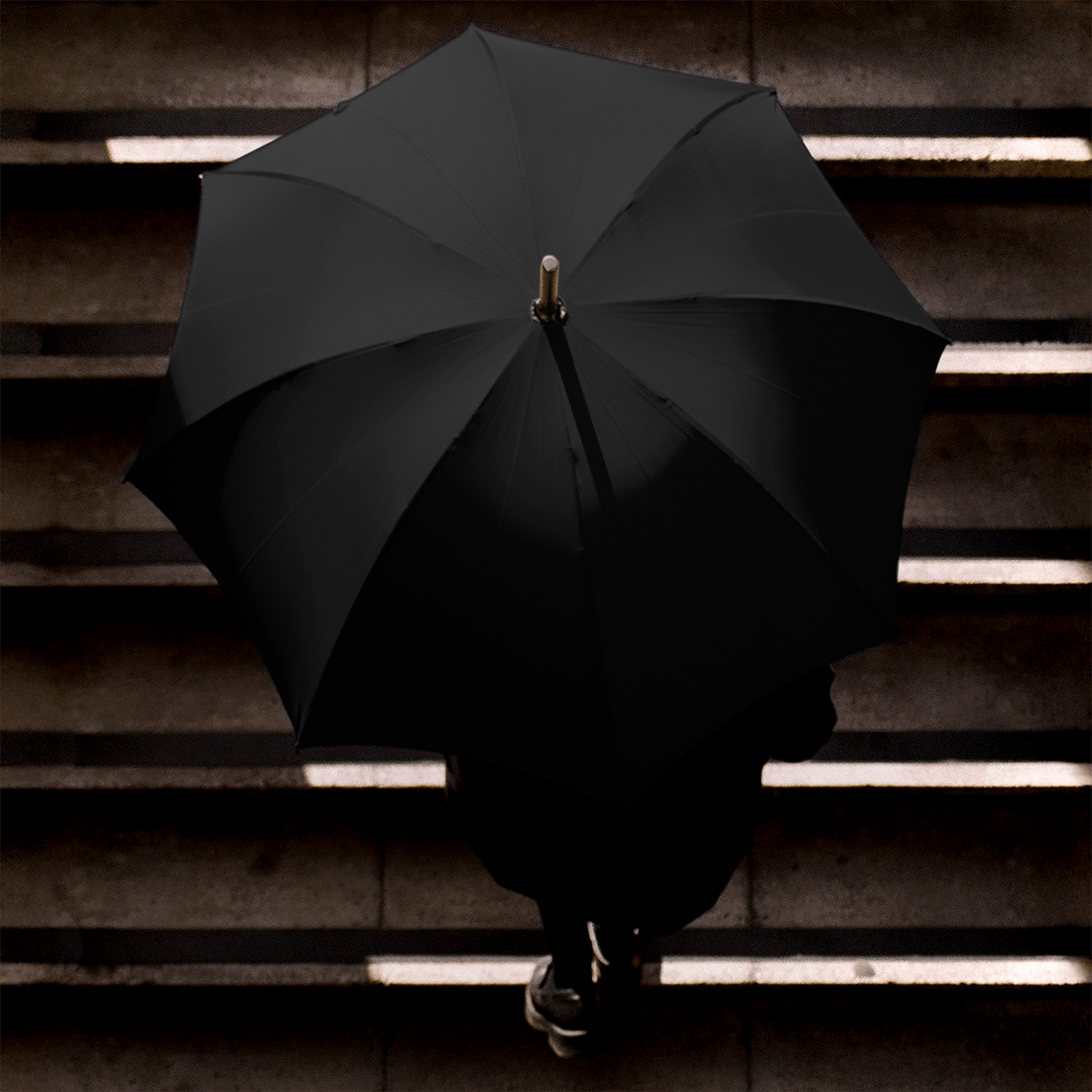 Oak Umbrella for Women - Black - Swaine Group Ltd