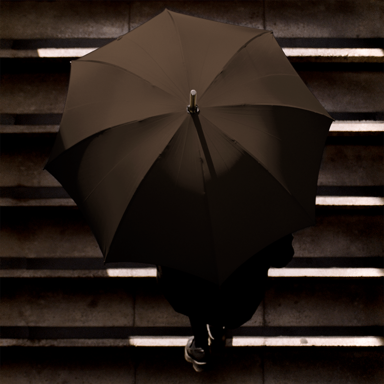 Hickory Umbrella for Men - Brown - Swaine Group Ltd