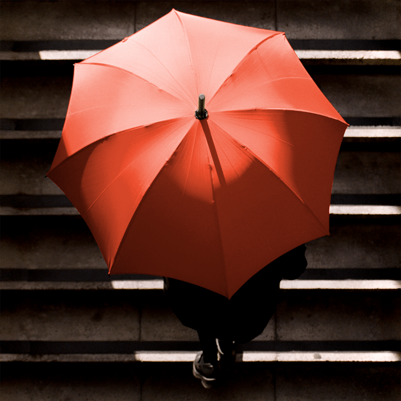 Singin' in the Rain Whangee Umbrella for Men - Orange - Swaine Group Ltd