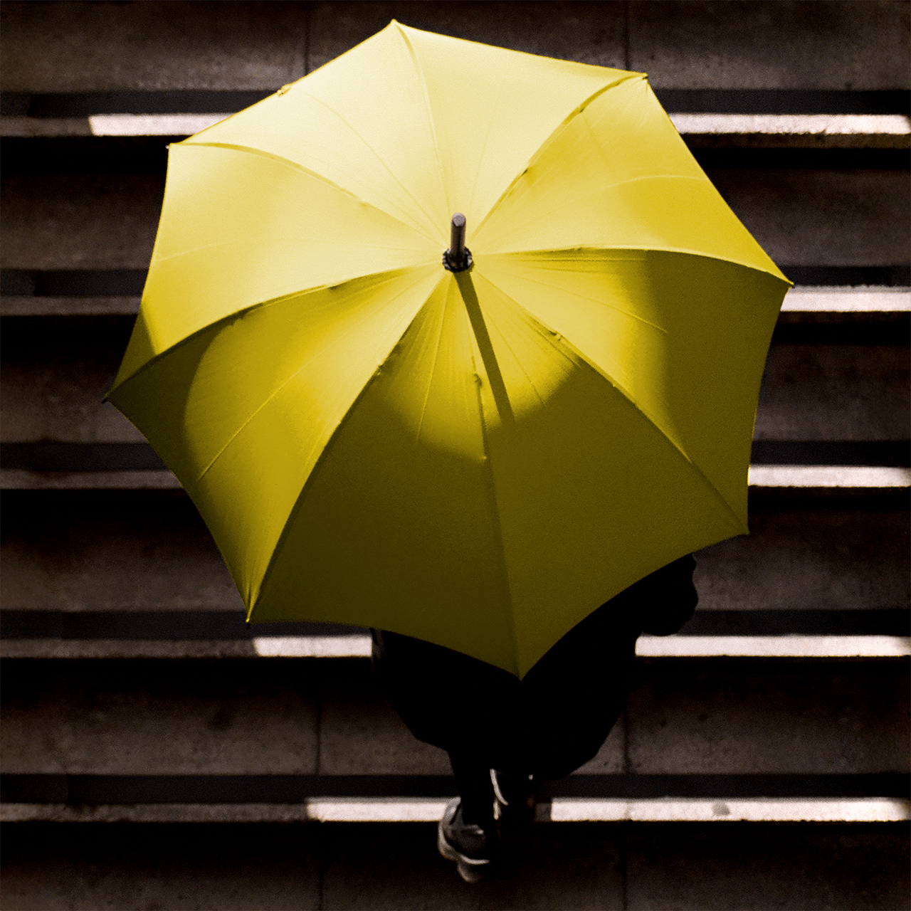 Maple Umbrella for Men - Yellow - Swaine Group Ltd