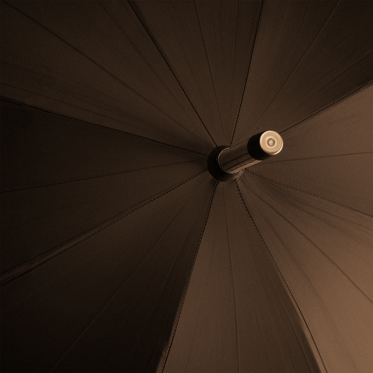 Polished Chestnut Umbrella for Men - Brown - Swaine Group Ltd