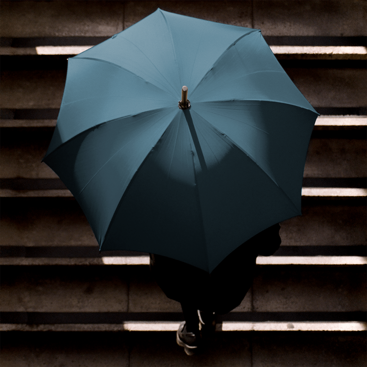 Polished Chestnut Umbrella for Men - French Navy - Swaine Group Ltd