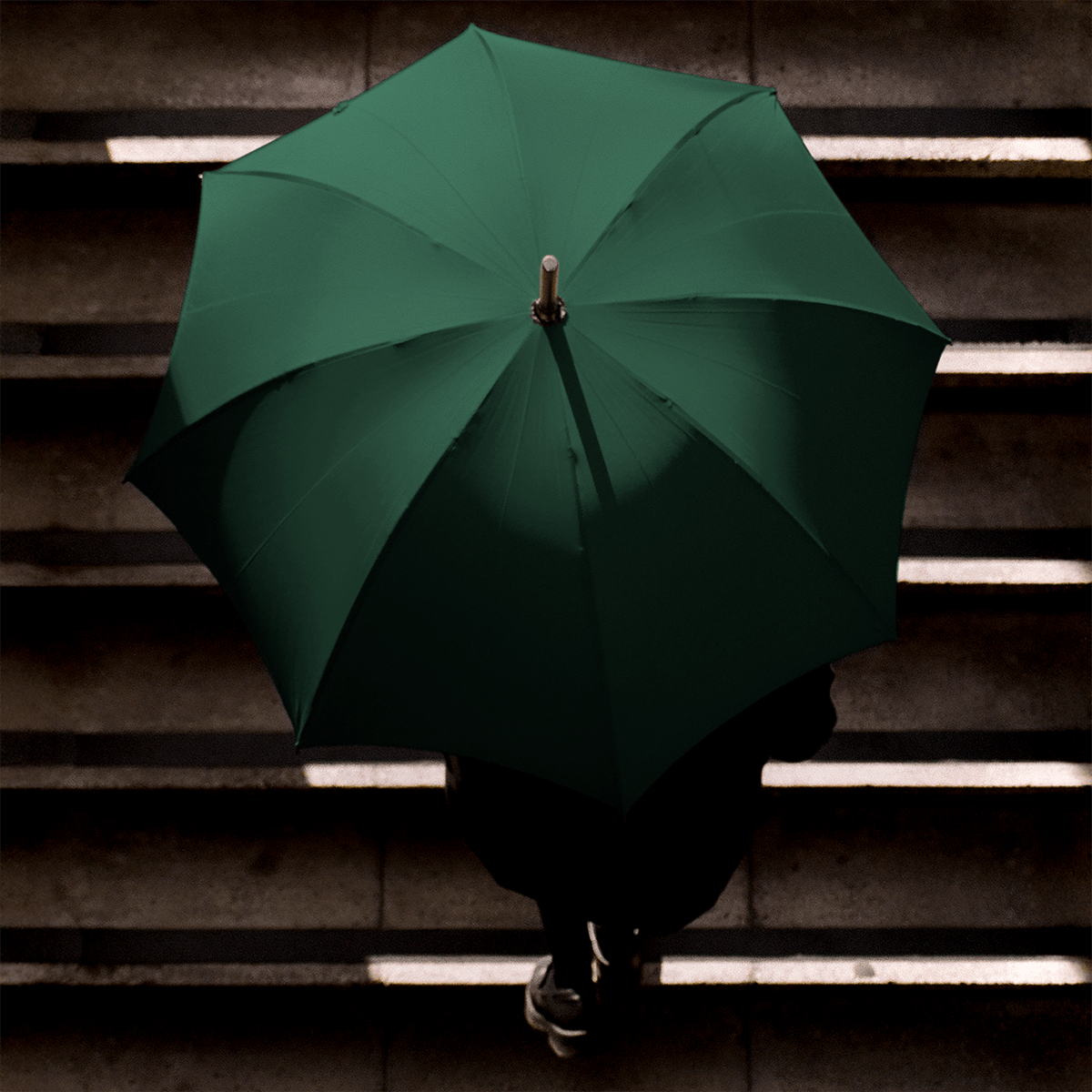 Polished Chestnut Umbrella for Men - Jaguar Green - Swaine Group Ltd