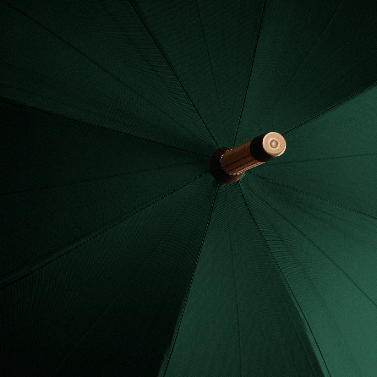 Polished Chestnut Umbrella for Men - Jaguar Green - Swaine Group Ltd